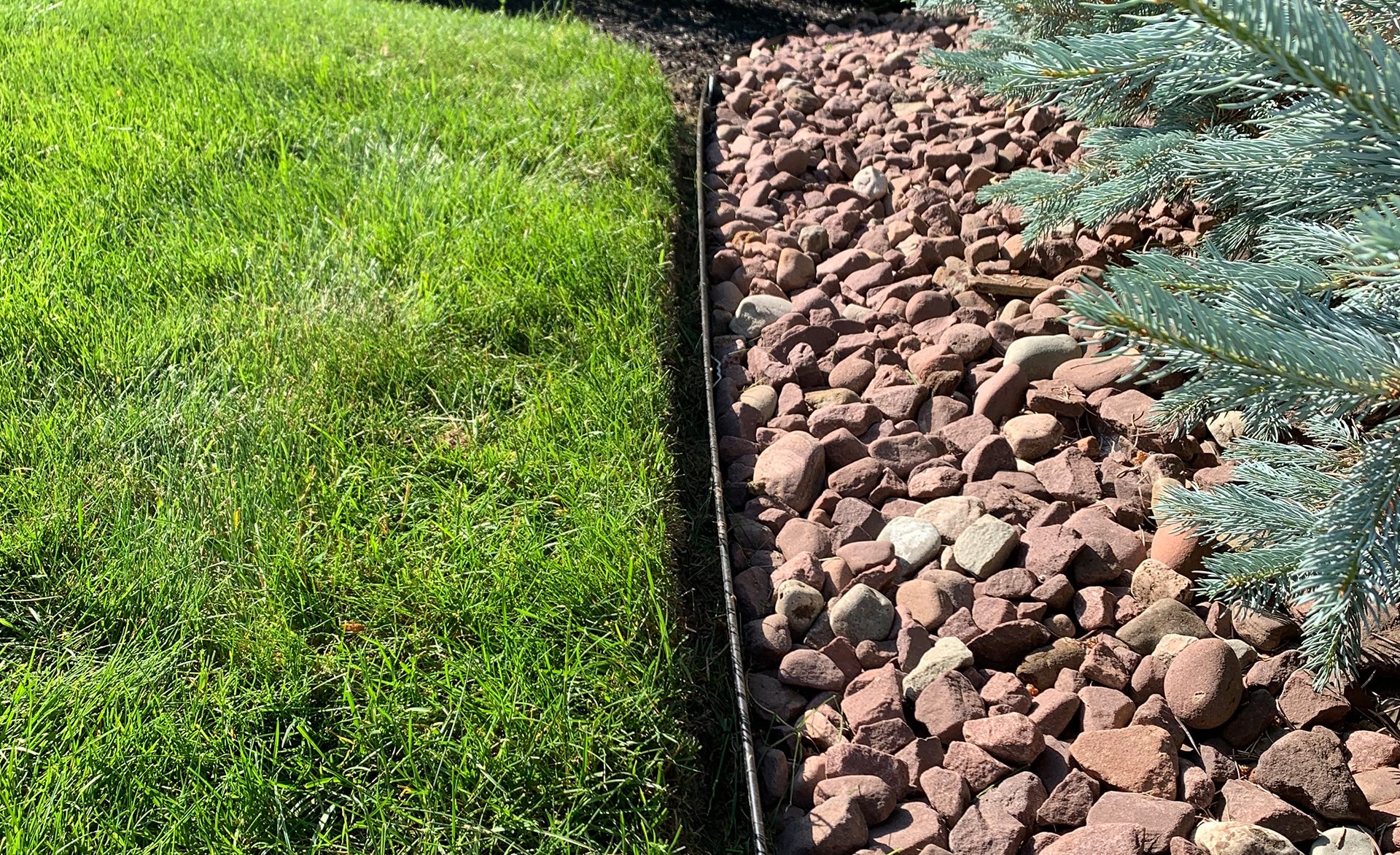 Landscaping with plants and pebbles